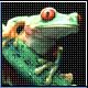 Bild: dpa