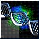 Bild: EPA/Max-Planck-Institut für Biochemie