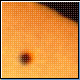 Bild: NASA