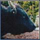 Bild: Nature Biotechnology