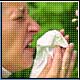 Bild: dpa