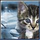 Bild: dpa/Photodisc
