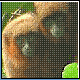Bild: WCS