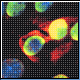 Bild: PNAS