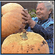 Bild: dpa