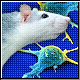 Bild: APA/science.ORF.at