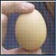Bild: dpa