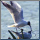 Bild: dpa