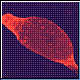 Bild: F. Rivero et al., 1998, J. Cell Biol. 142, 735-750