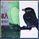 Bild: EPA