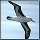 Bild: Wikipedia