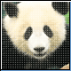 Bild: WWF
