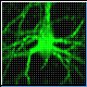 Bild: Max-Planck-Institut f¿r Neurobiologie / Hofer