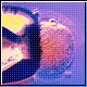 Bild: Photodisc