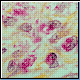 Bild: Photodisc