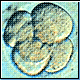 Bild: Photodisc