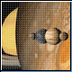Bild: Photodisc