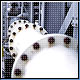 Bild: Photodisc