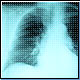 Bild: Photodisc