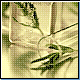Bild: Photodisc