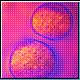 Bild: Photodisc