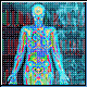 Bild: Photodisc