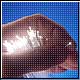 Bild: Photodisc