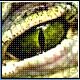 Bild: dpa