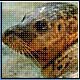 Bild: dpa