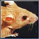 Bild: dpa