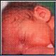 Bild: dpa