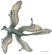Bild: Portia Sloan (Nature)