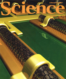 Bild: Nature/Science