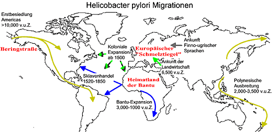 Grafik: Max-Planck-Institut f¿r Infektionsbiologie