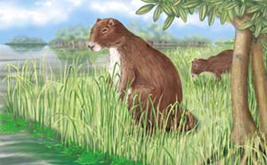 Bild: Science / Illustration: Carin L. Cain