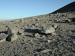Bild: Rafael Navarro-Gonzalez/Science