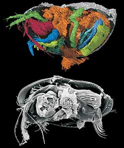 Bild: Science