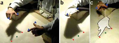 Bild: Nature Neuroscience