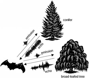 Bild: PNAS