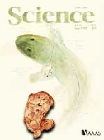 Bild: Science
