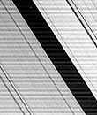 Bild: NASA