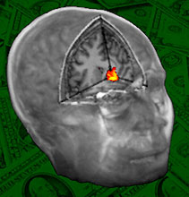 Bild: Science/De Quervain et al.