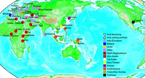 Bild: Max-Planck-Institut für evolutionäre Anthropologie