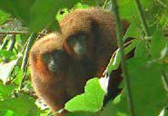 Bild: WCS