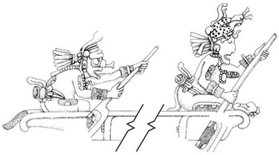 Bild: PNAS