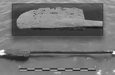 Bild: PNAS