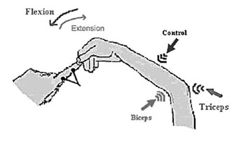 Grafik: Current Biology
