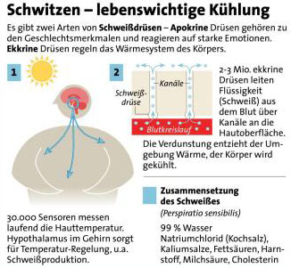 Grafik: APA, Quelle: APA