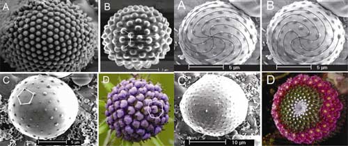 Bild: Science