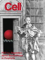 Bild: Cell
